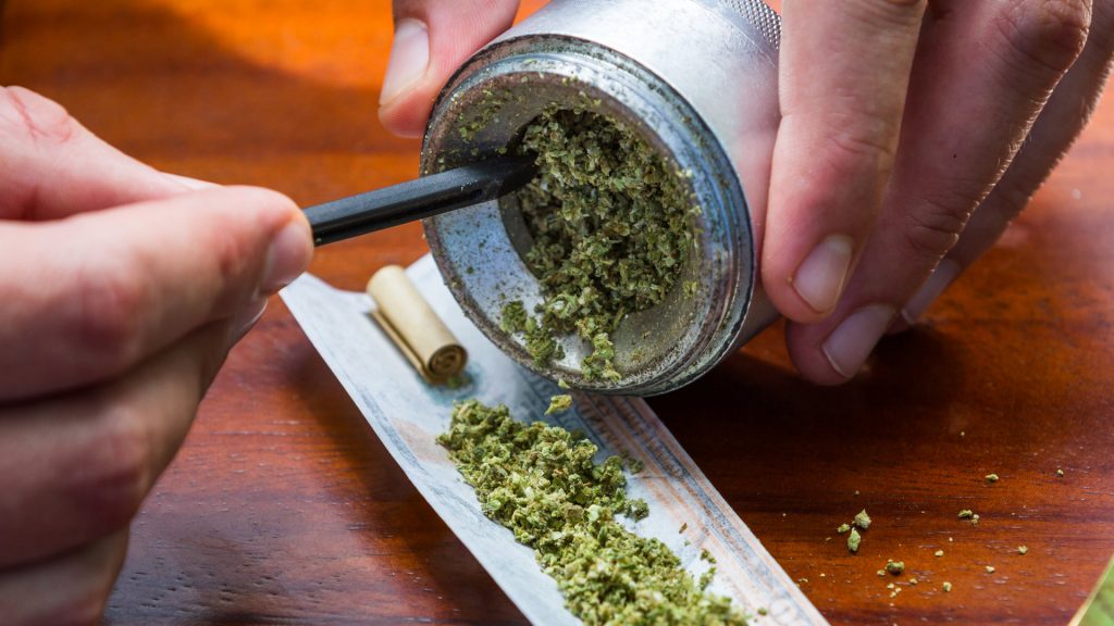 close up of stuffing and rolling a fake one hundred dollar bill cannabis joint from a weed grinder