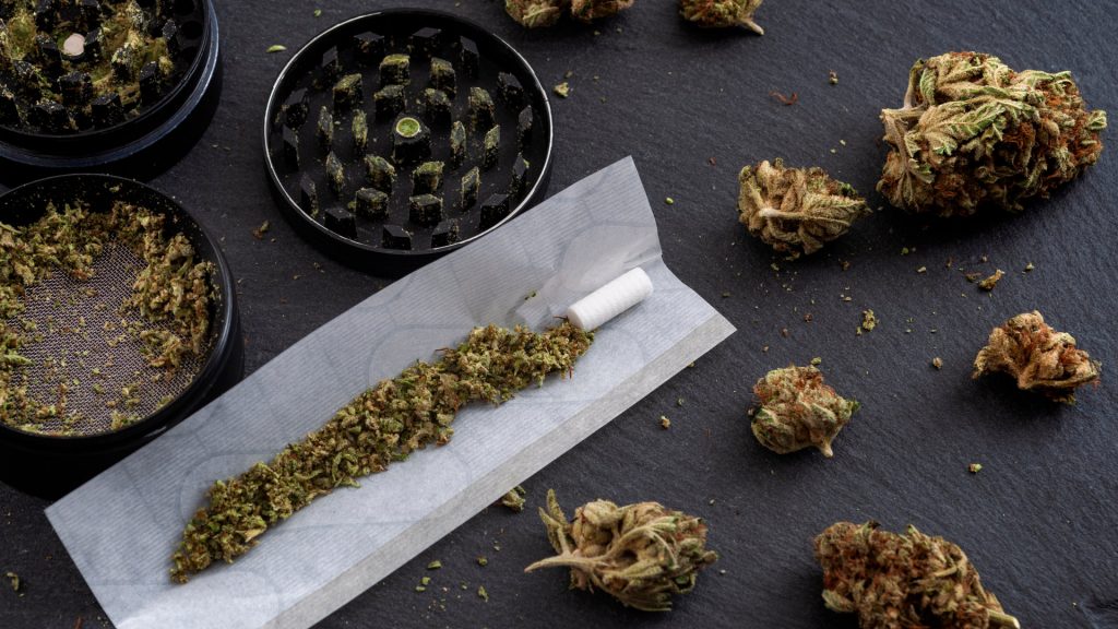 Preparing a joint and drug paraphernalia concept theme with weed grinder used to grind cannabis buds and roll marijuana joints, next to rolling paper and weed bud isolated on dark background
