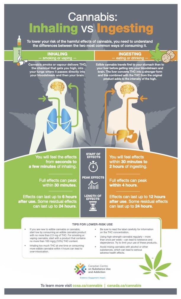 infographic describing the different way your body metabolizes inhaled cannabis versus ingested cannabis