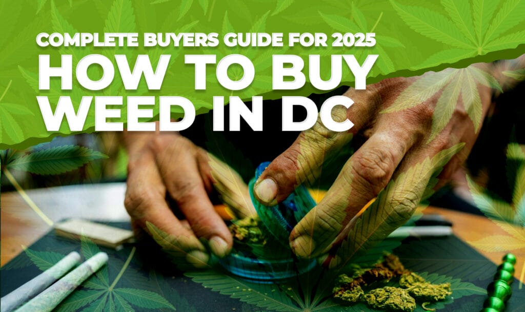 How to Buy Weed in DC 2025